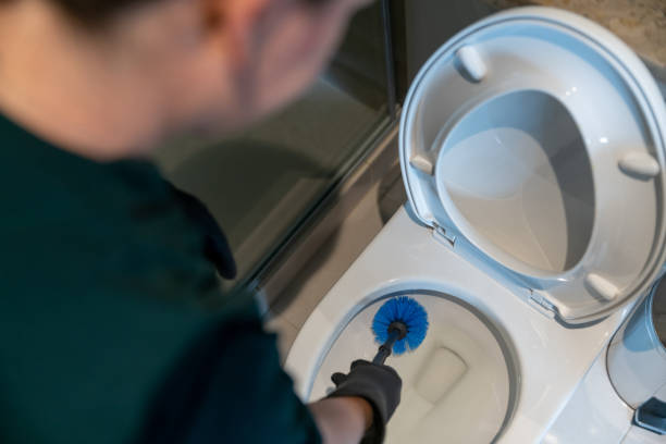 istock Cleaner cleaning the toilet in the bathroom using a brush 1312481752