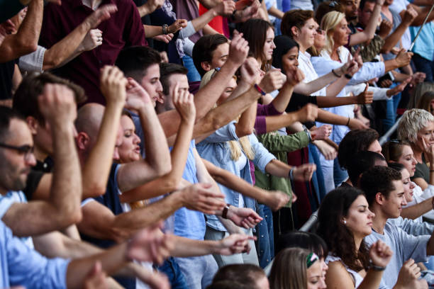 istock Ecstatic fans on the stadium with arms raised 1312483218