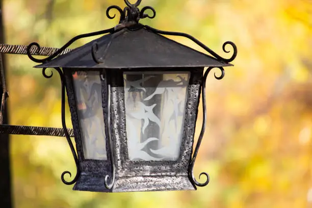 Autumn colorful background. Autumn trees and park lantern yellowed autumn leaves background