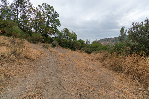 mountainous landscape in southern Spain, there is dry grass, bushes and trees, the sky is cloudy