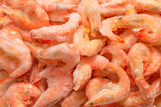 istock Fresh shrimps in ice. Top view. 1312490150