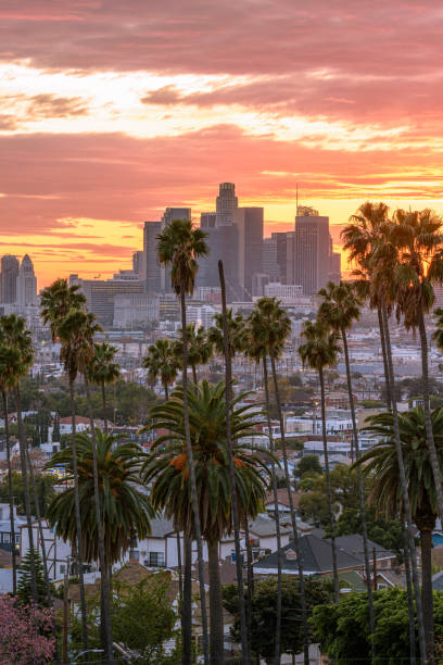 istock Downtown Los Angeles at sunset 1312492420