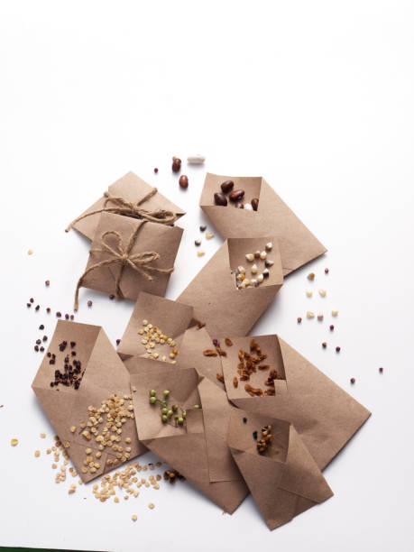 Heritage, heirloom garden seeds on a white background.
