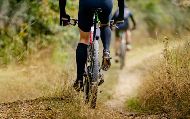 istock rear wheel mountain bike 1312494065