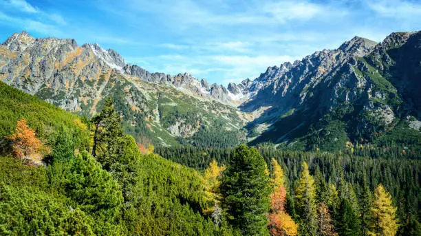 Majestic panoramic view of National Park High Tatras Mountains near Popradske Pleso in Slovakia on a sunny autumn day
