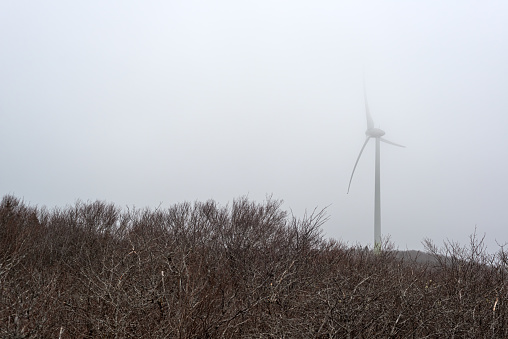 Wind turbine on a wind farm in Northern Nova Scotia.