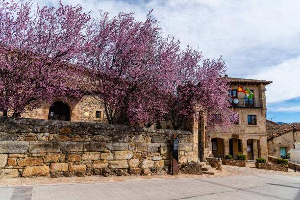 Scenic view of the church and the town hall of Horcajuelo de la Sierra during springtime Horcajuelo de la Sierra, Spain - March 21, 2021: Scenic view of the church and the town hall during springtime cherry blosson tree stock pictures, royalty-free photos & images