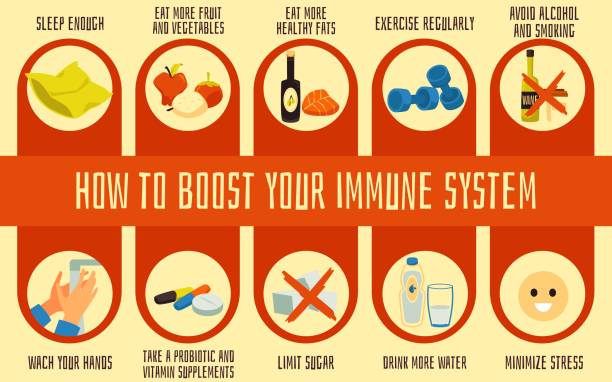 ilustrações, clipart, desenhos animados e ícones de hábitos saudáveis para impulsionar o sistema imunológico e prevenção contra doenças - immune defence