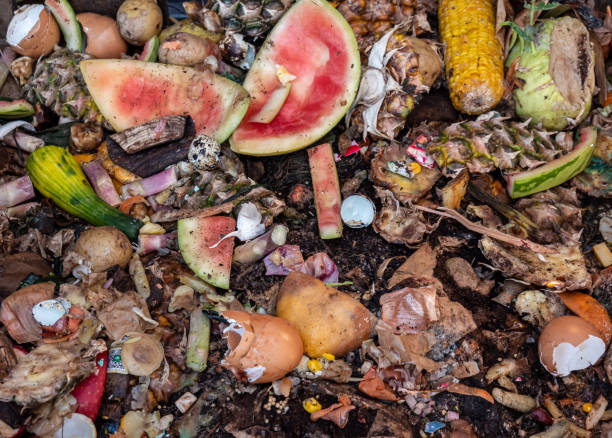 istock Organic waste in the garden on the compost 1312499024