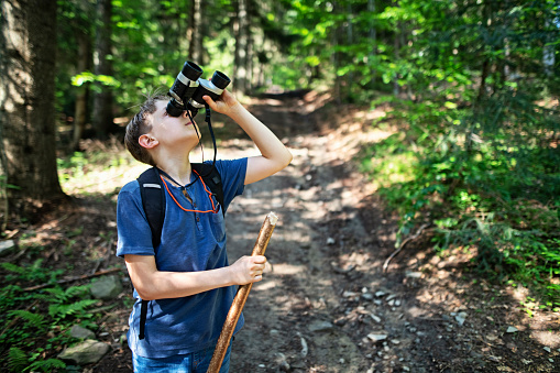 Little boy aged 10 is hiking in the forest. The boy is using binoculars to look at the birds.\nNikon D850