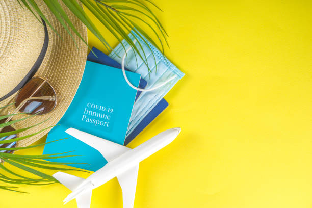 istock Travel with Covid-19 immune passport 1312503662