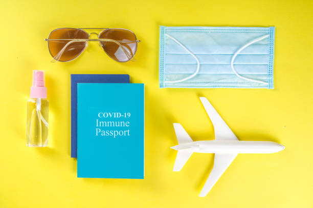 istock Travel with Covid-19 immune passport 1312503670