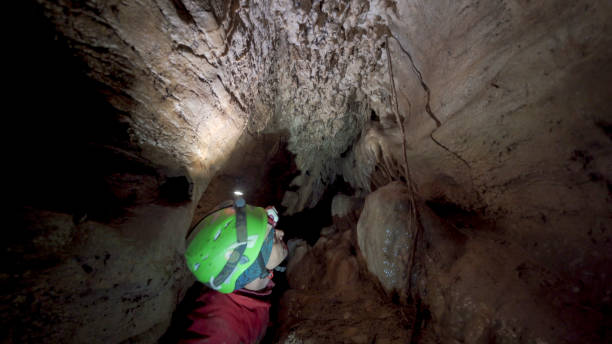istock Cave explorer with headlamp discovers rare organisms 1312505037