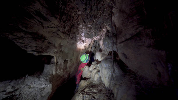 istock Cave explorer with headlamp discovers rare organisms 1312505114