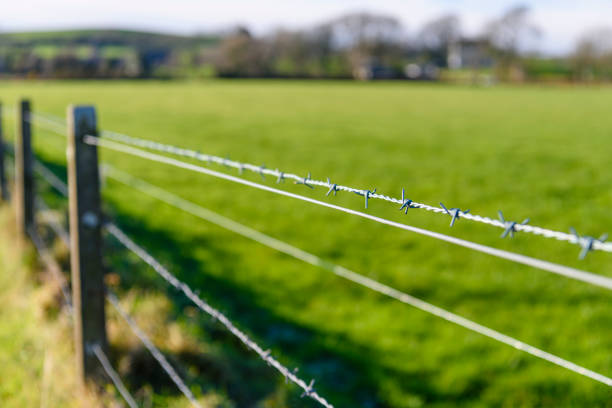 cerca de alambre de púas en un campo - barbed wire fotografías e imágenes de stock