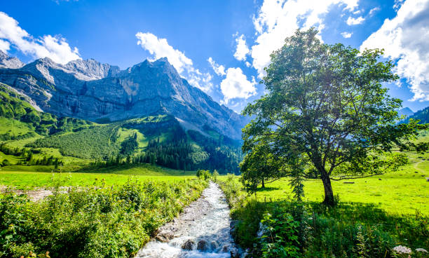 istock landscape at the eng alm in austria 1312506058