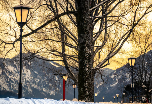 landscape at the lake tegernsee - bavaria