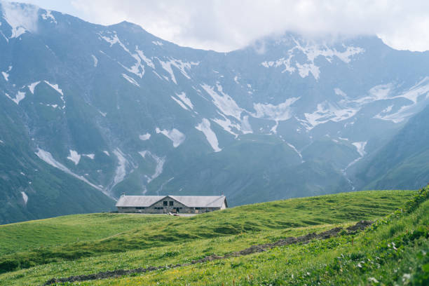 istock Lush mountain meadow and farm house 1312506357
