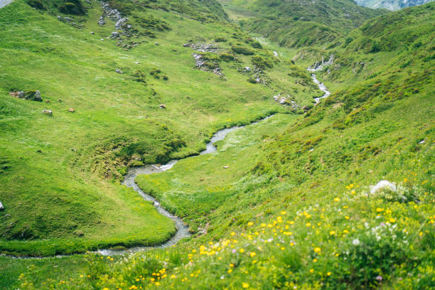 istock Elevated view of stream winding through alpine meadow 1312506464