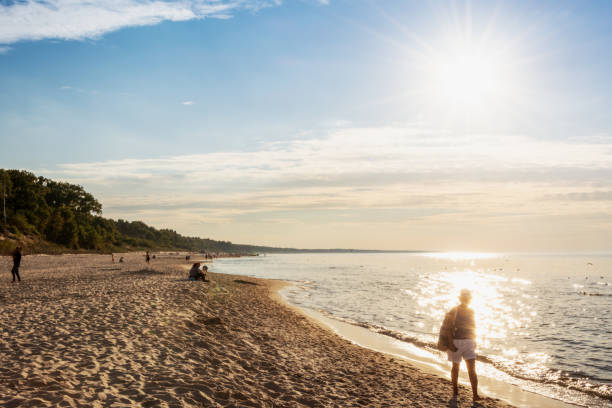 istock nature view of summer time 1312508636