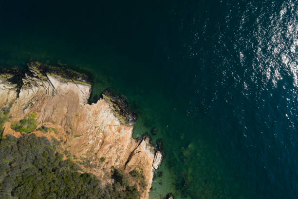 istock aerial view of seagulls and magnificent cliffs 1312508904