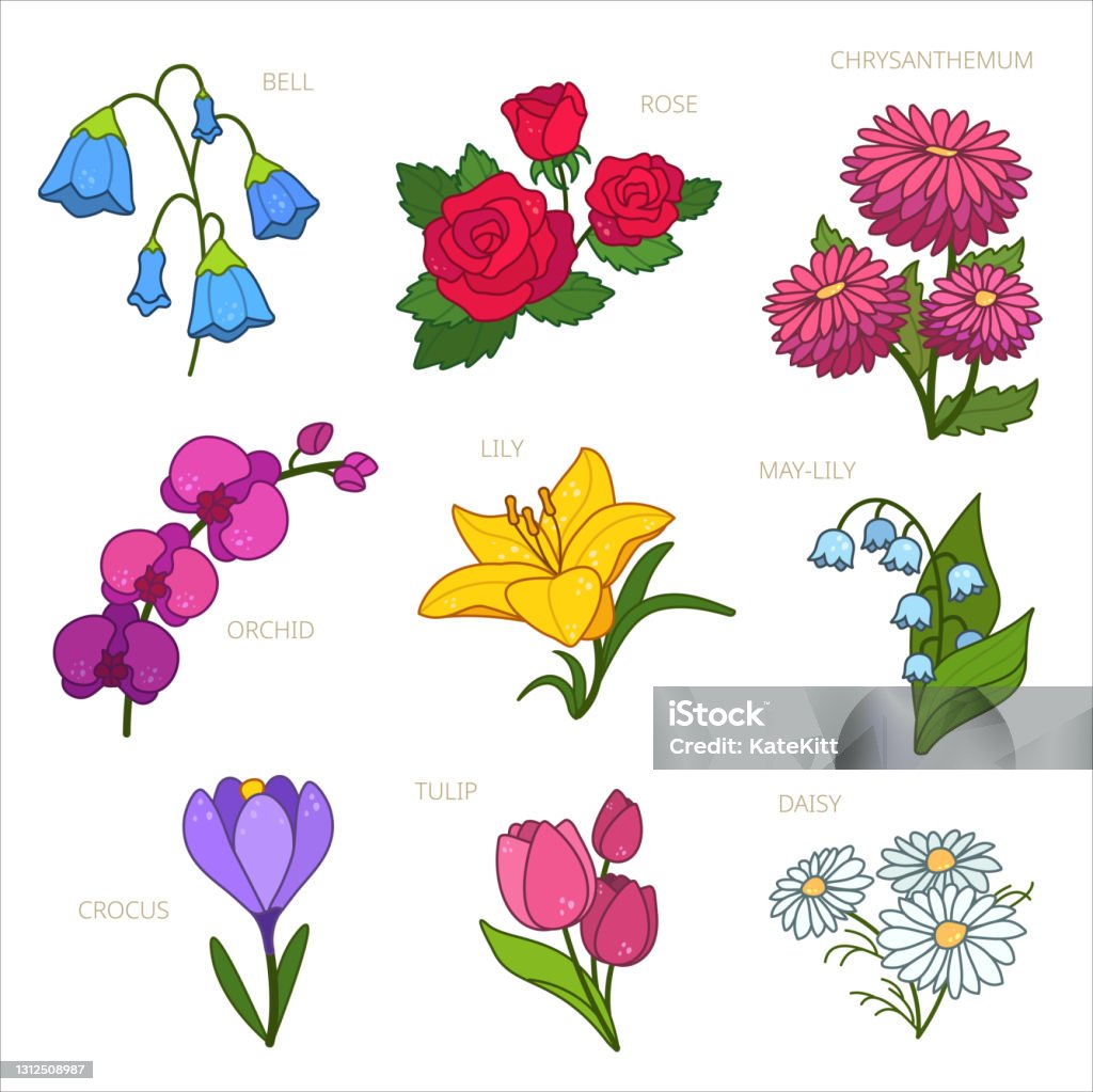 Ilustración de Ilustración Vintage Lindo Estilo De Dibujo Conjunto De Flores De Dibujos Animados Para El Diseño De Impresión Lily Rosa Crisantemo Margarita Campana Tulipán y más Vectores Libres de Derechos de Ilustración de Ilustración Vintage Lindo Estilo De Dibujo Conjunto De Flores De Dibujos Animados Para El Diseño De Impresión Lily Rosa Crisantemo Margarita Campana Tulipán y más Vectores Libres de Derechos de