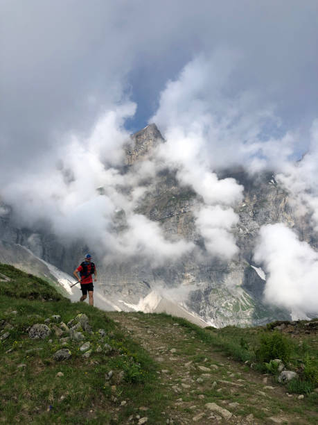istock Trail runner ascends mountain meadow in mist 1312509640