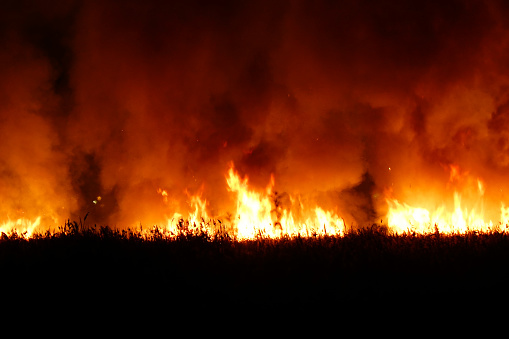 Flames from a dry grass fire at night. Night fire in the field. Selective focus. Soft focus