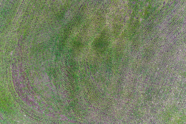 Spring field work. Early shoots. A tractor with attachments sprays fertilizer onto the field. Spring field work. Early shoots. A tractor with attachments sprays fertilizer onto the field burrow somerset stock pictures, royalty-free photos & images