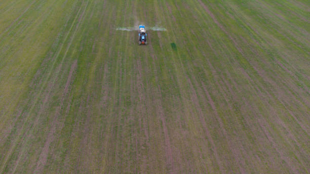 Spring field work. Early shoots. A tractor with attachments sprays fertilizer onto the field. Spring field work. Early shoots. A tractor with attachments sprays fertilizer onto the field burrow somerset stock pictures, royalty-free photos & images