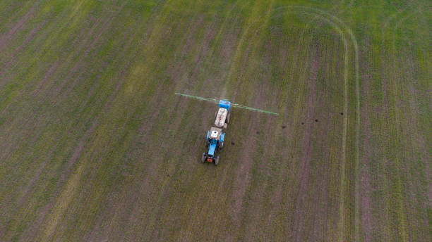 istock Spring field work. Early shoots. A tractor with attachments sprays fertilizer onto the field. 1312510026