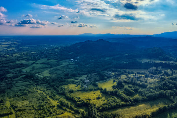 istock View of a field and forest from a drone in summer 1312514924