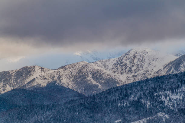 istock Winter view of Tatra mountains, Pola 1312518253