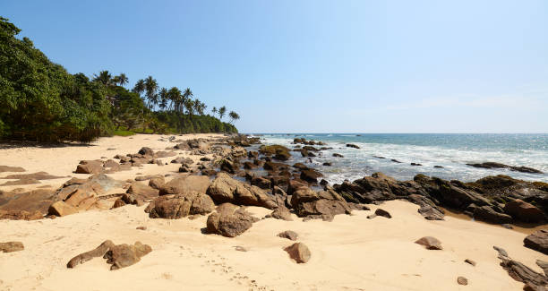istock Panoramic view of an empty tropical beach, Sri Lanka. 1312518585