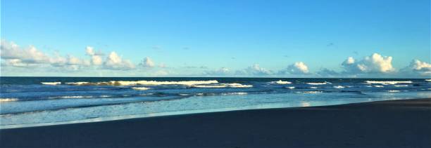 istock Beach and sea in Bahia Brazil 1312520225