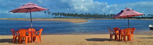 istock Beach and sea isolator in Bahia Brazil 1312520272