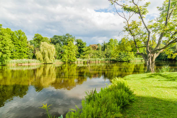 istock Pond in Sanssouci park in Potsdam, Germa 1312520631