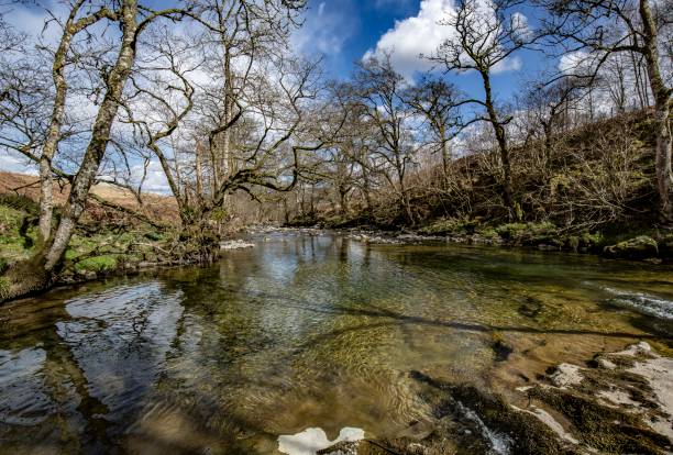 istock Hidden Water Pool Of The Scottish  Borders. 1312522760