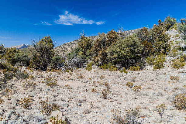 istock Landscape of Hajar Mountains, Om 1312523121