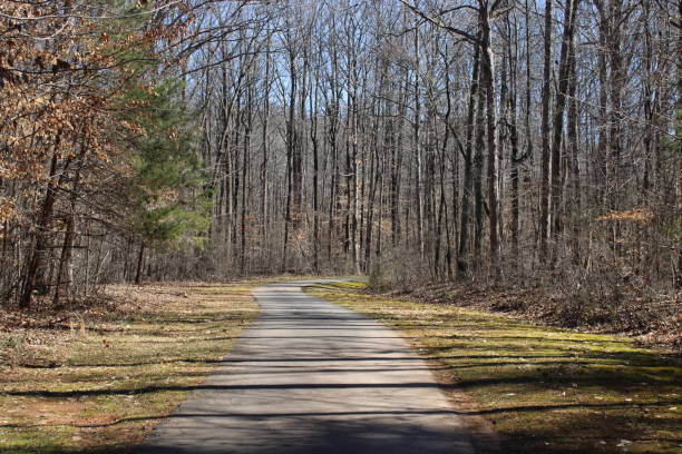istock Serenity on the Trail 1312524137