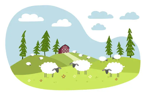 Vector illustration of White sheep with black muzzles graze in a meadow. Red farm in the background.