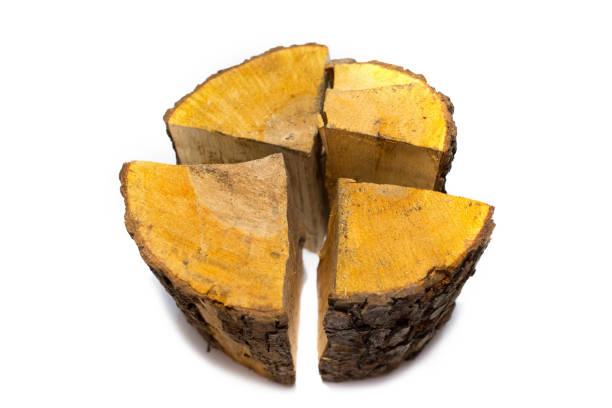 Pile of firewood isolated on a white background. High quality photo
