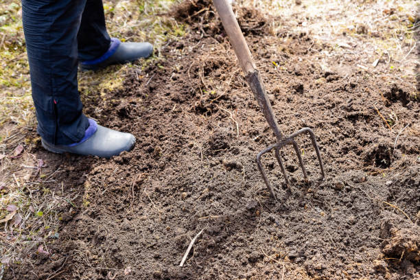 istock Work in a garden,Digging Spring Soil With Spading fork Close up of digging spring soil with blue shovel preparing it for new sowing season.Pitchfork stuck in the ground. 1312526727