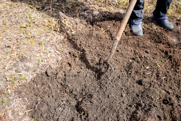 istock Work in a garden,Digging Spring Soil With Spading fork Close up of digging spring soil with blue shovel preparing it for new sowing season.Pitchfork stuck in the ground. 1312526734
