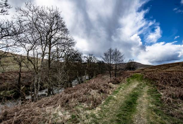 istock Scottish Border Scenes Near Hawick. 1312528071