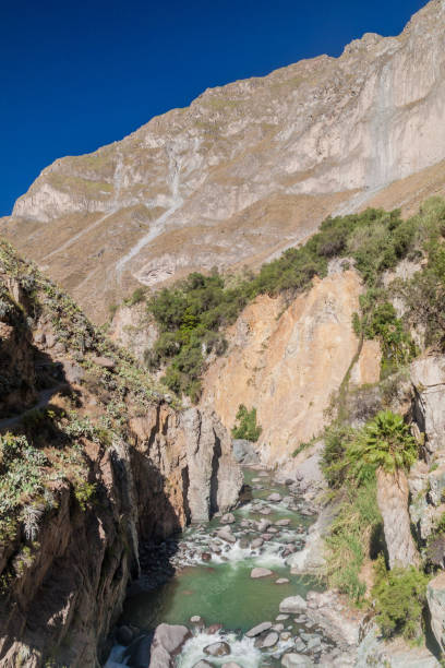 istock Trekking trail in Colca canyon, Peru 1312528216