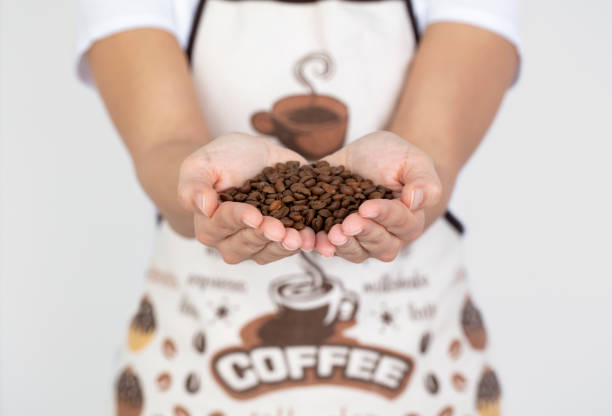 Barista Coffee beans on white background.