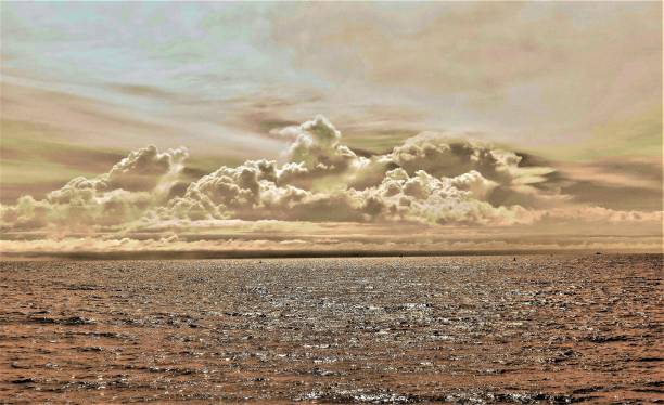 bellissimo paesaggio marino. - rio de la plata foto e immagini stock