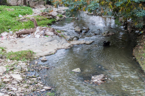 istock Small creek full of garbage in Holguin, Cu 1312529285