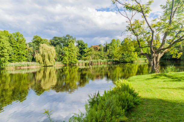 istock Pond in Sanssouci park in Potsdam, Germa 1312529648